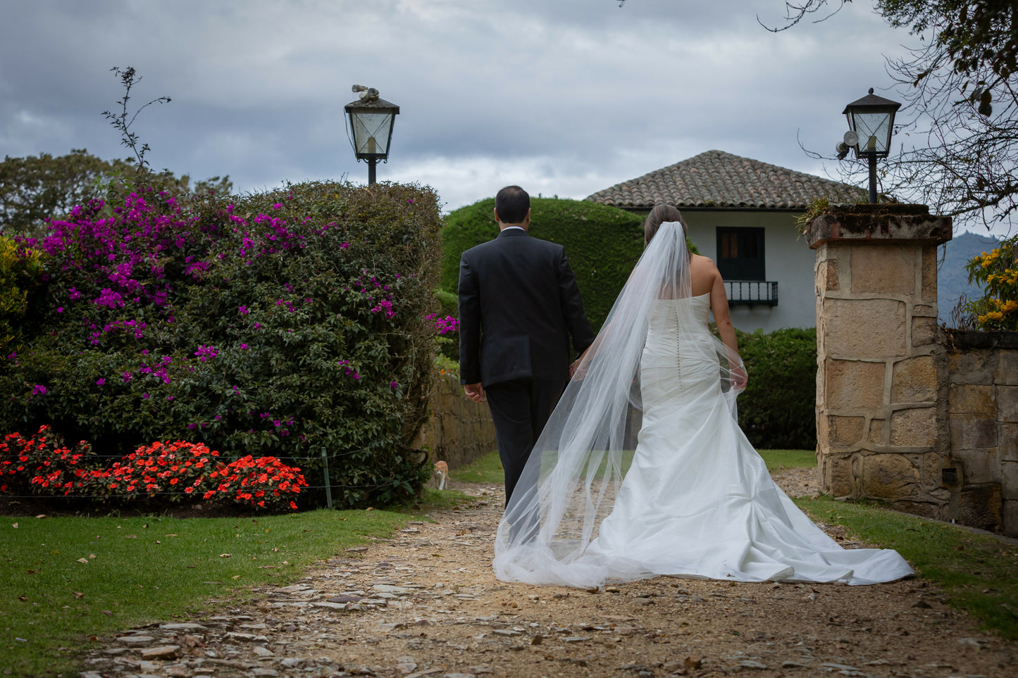 Vestido de novia- La Sposa Pronovias