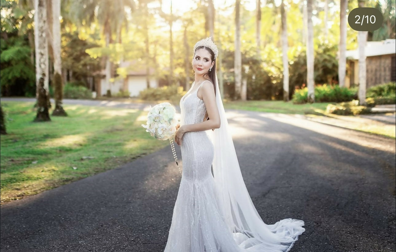 Vestido de novia - Fredy Rivera