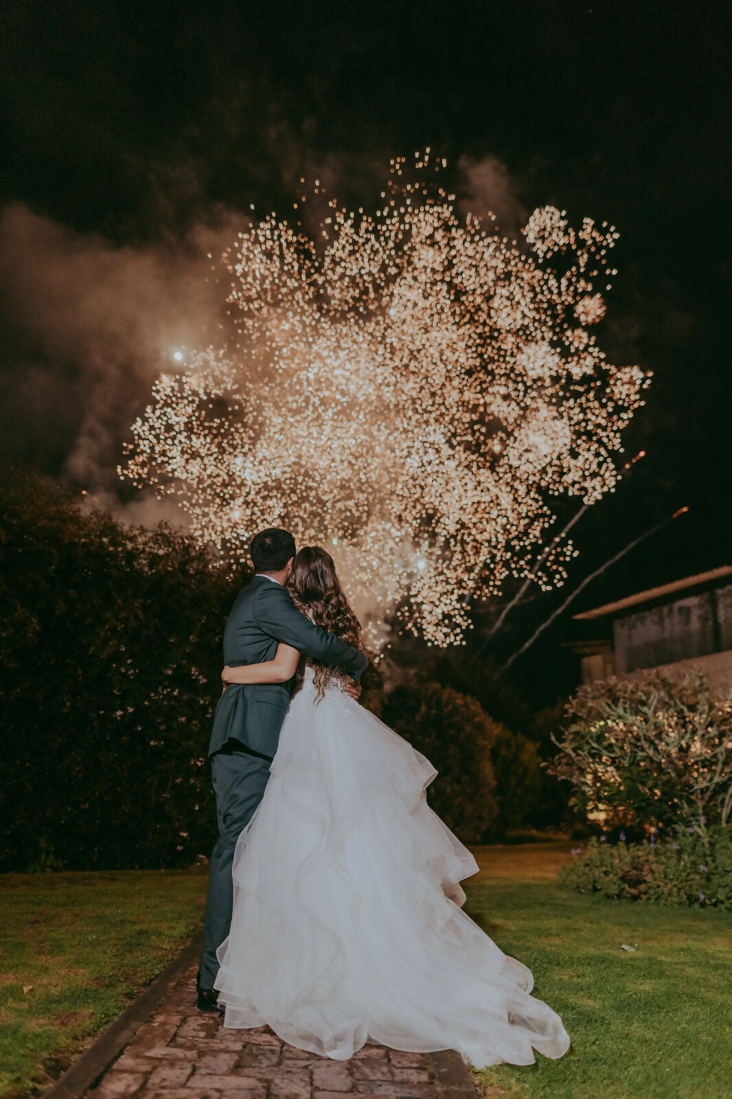 Vestido de novia - Pronovias