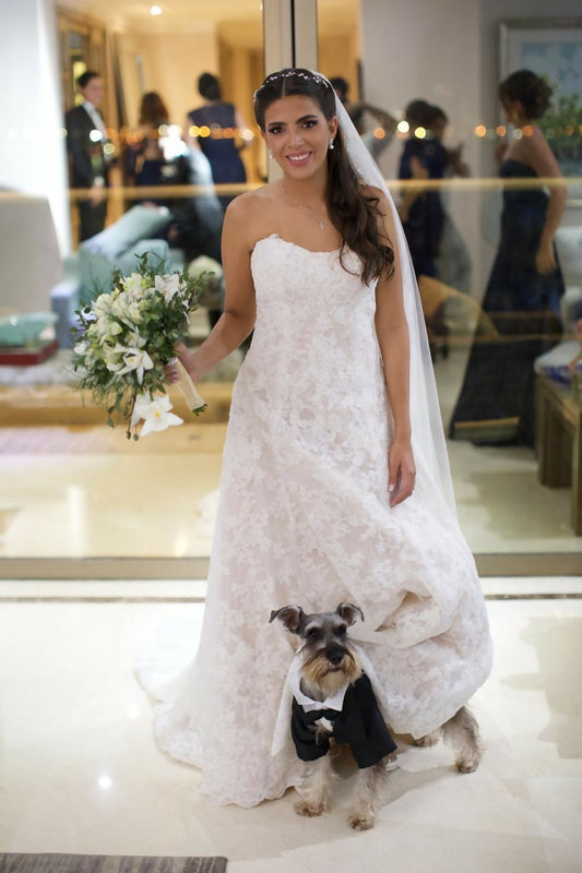 0f072446-f7d2-480b-854d-a8727a3e7bd6