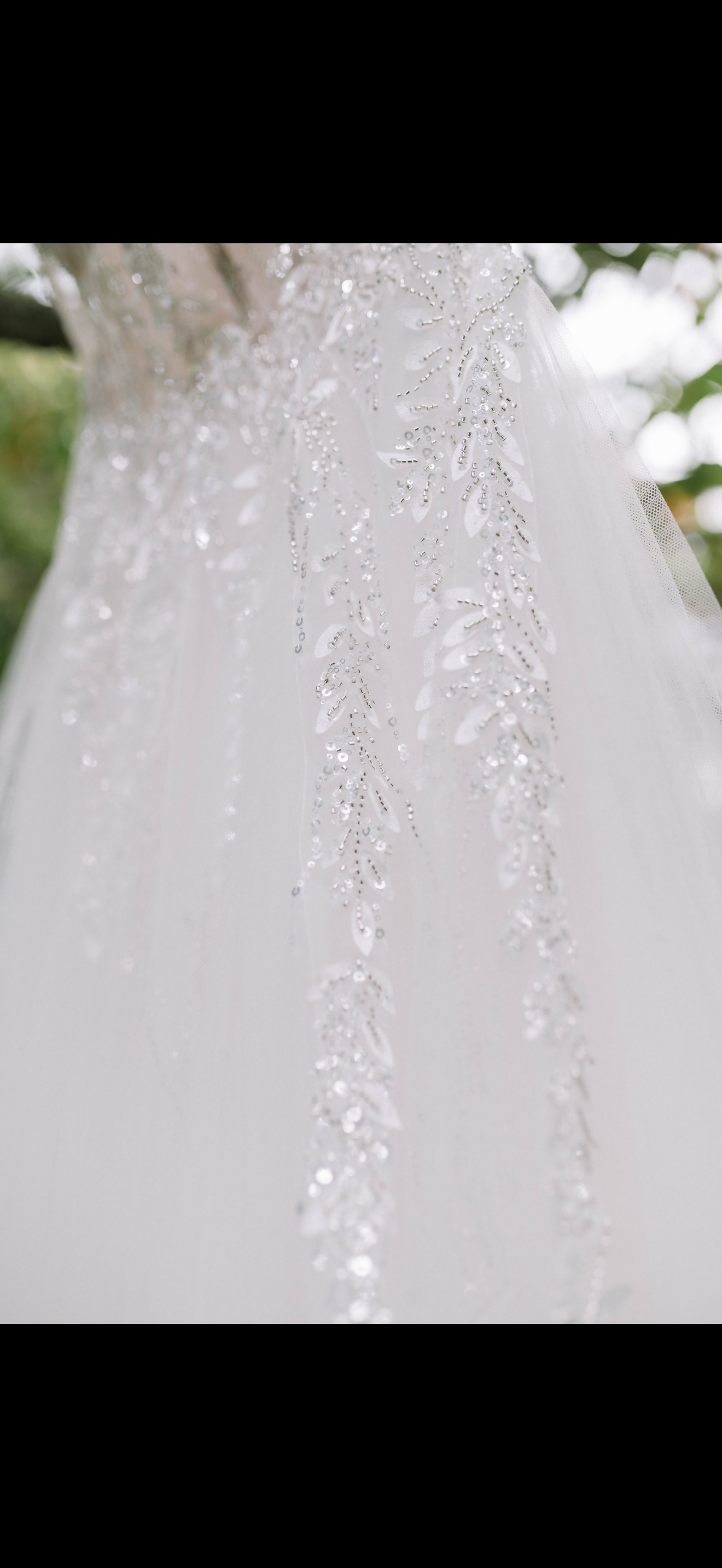 Vestido de novia - Pronovias