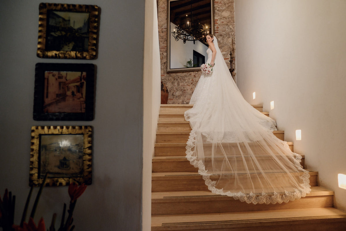 Vestido de Novia - Pronovias