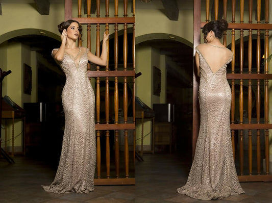 Vestido de Noche - Colección 2019