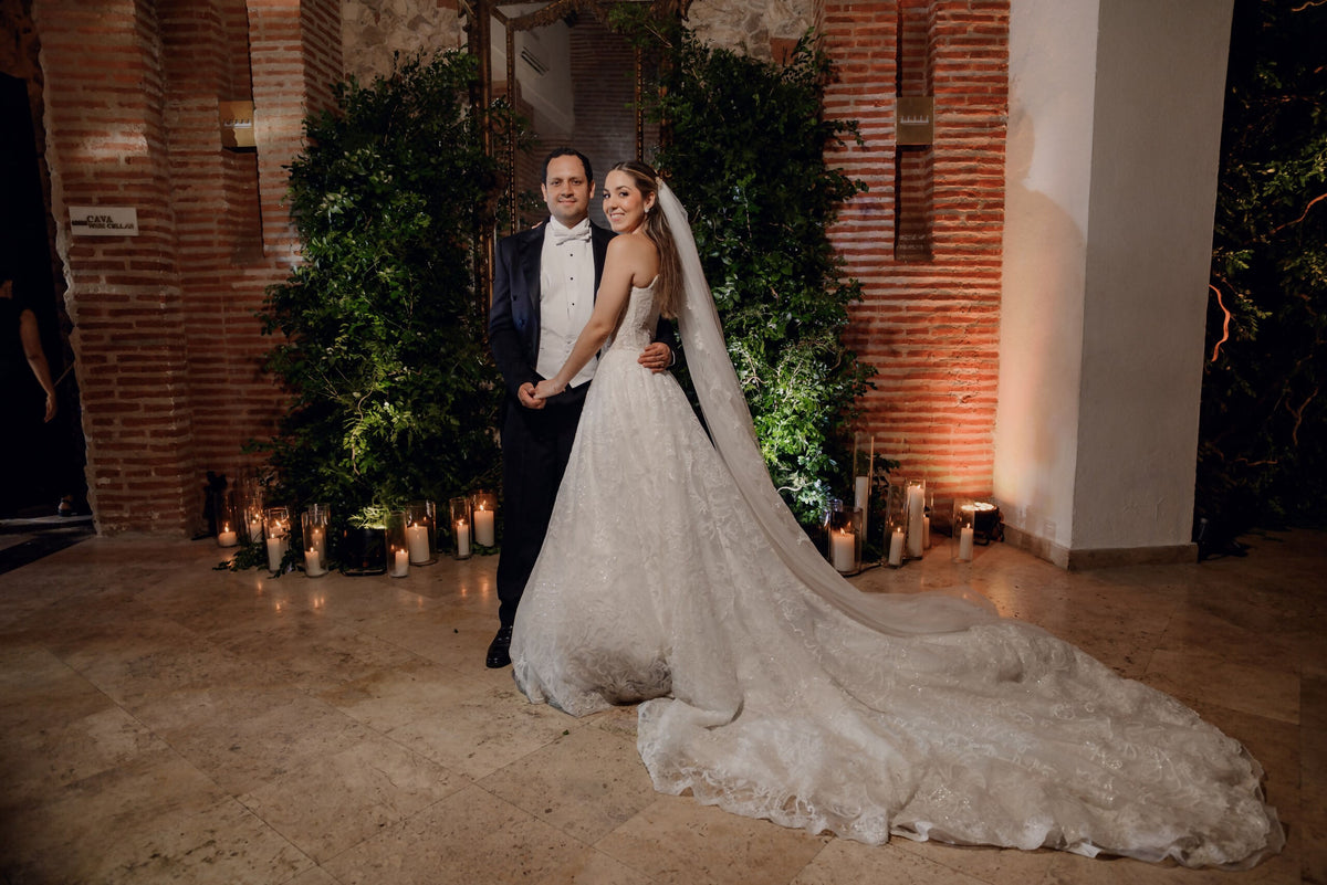 Vestido de Novia - Pronovias