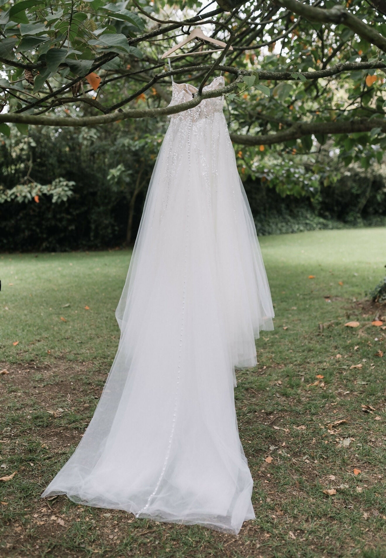 Vestido de novia - Pronovias