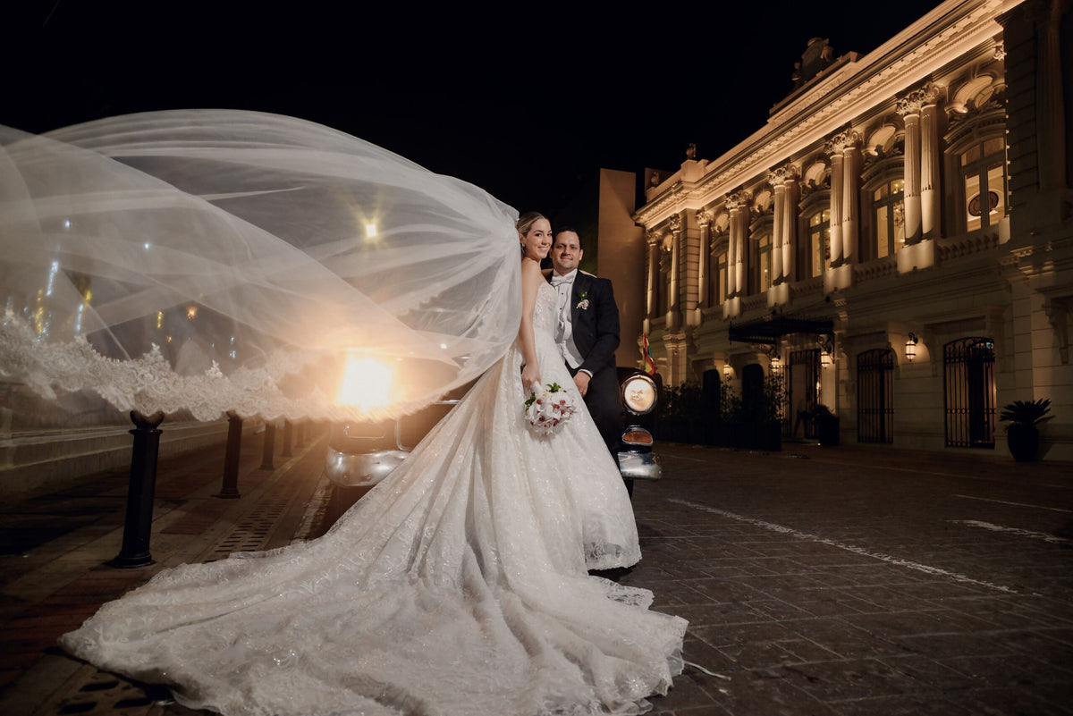 Vestido de Novia - Pronovias