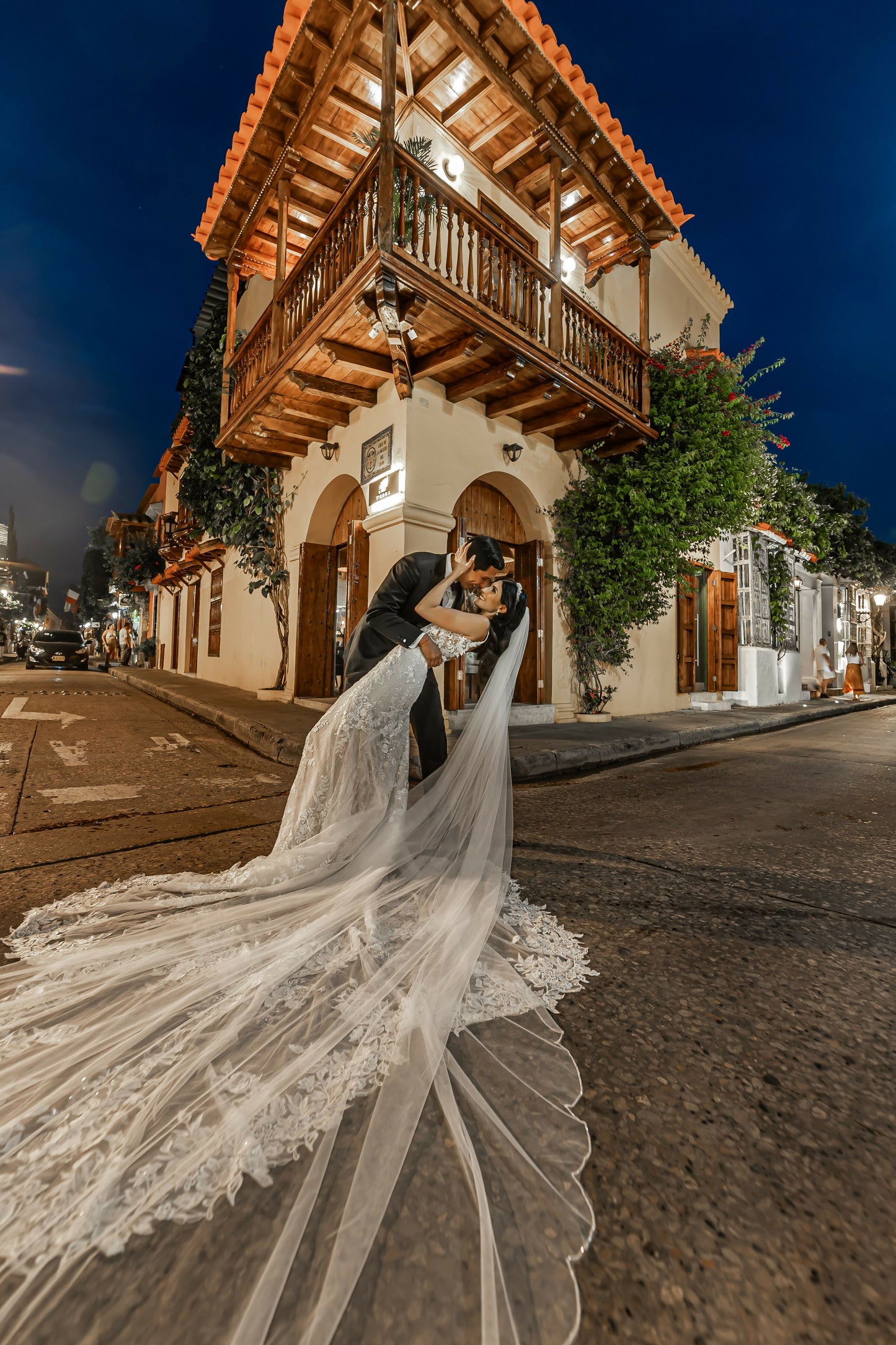 Vestido de Novia - Pronovias