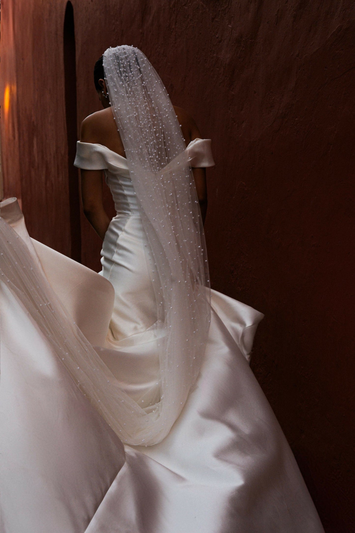 Velo Pronovias - V-LA06