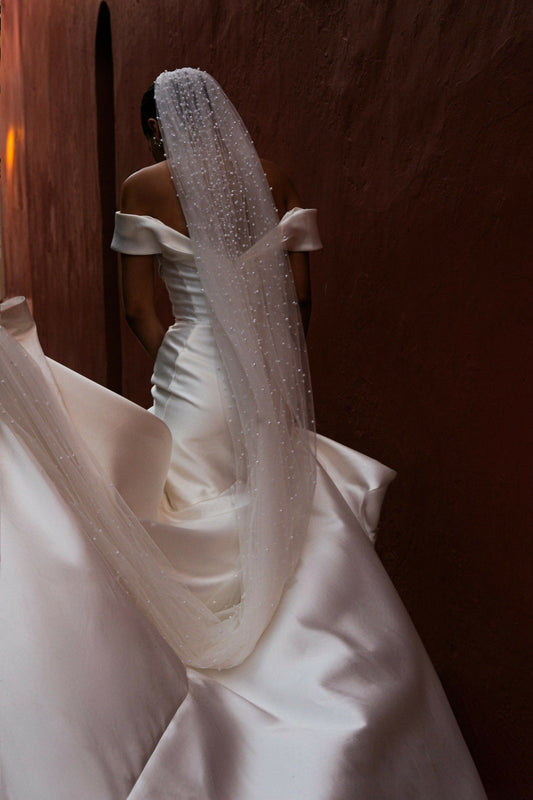 Velo Pronovias - V-LA06