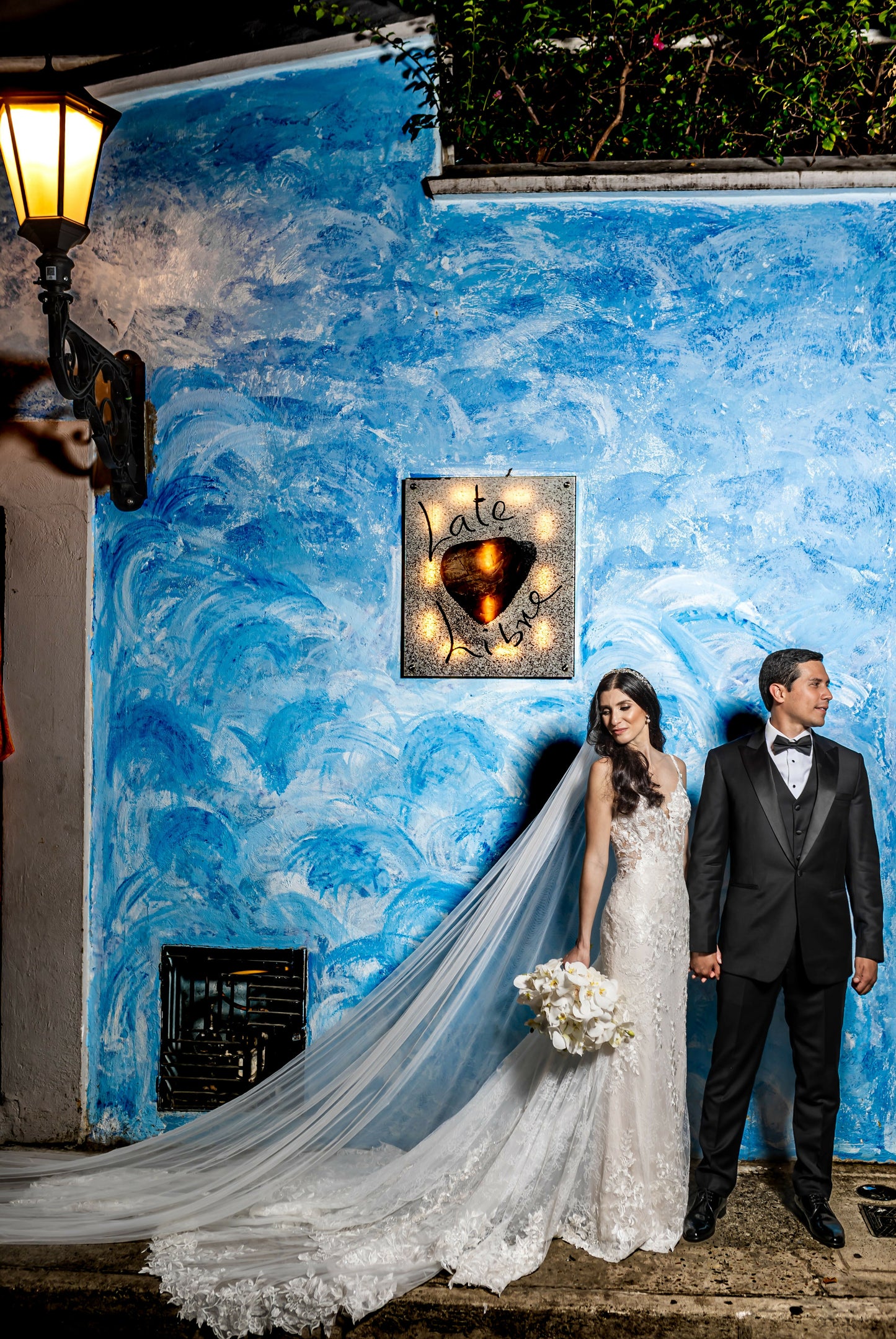 Vestido de Novia - Pronovias