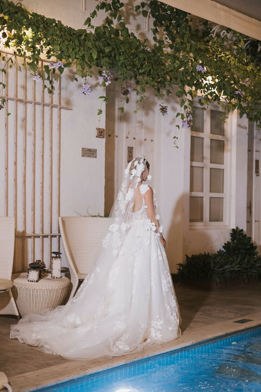Vestido de Novia - Ines Di Santo