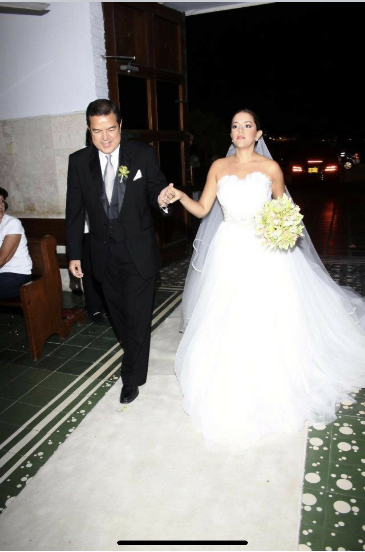 Vestido de Novia - Pronovias