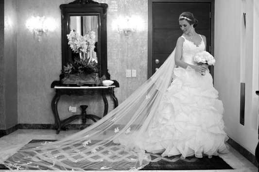 Vestido de novia - Pronovias