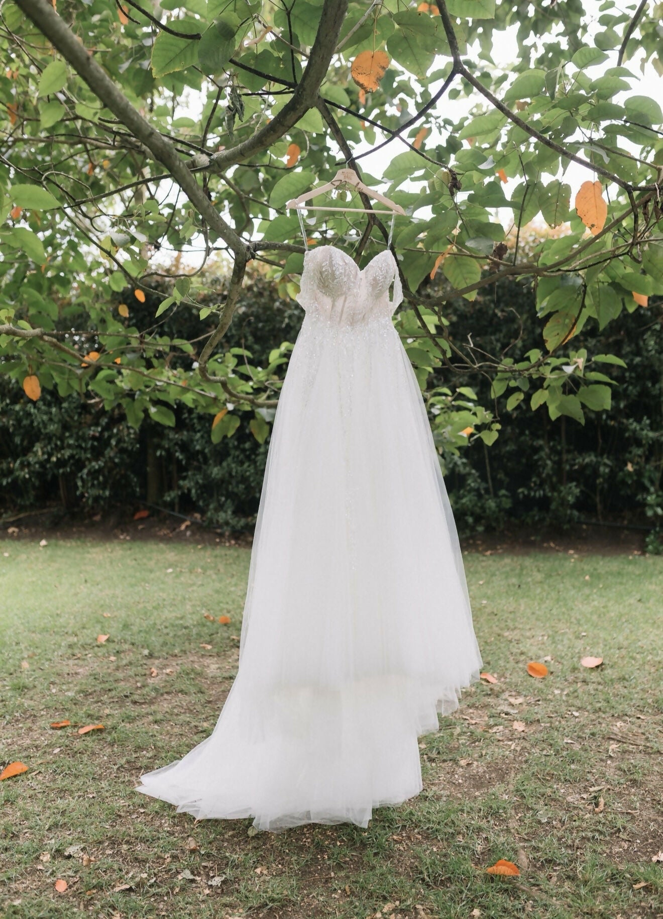 Vestido de novia - Pronovias